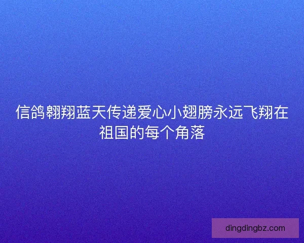 信鸽翱翔蓝天传递爱心小翅膀永远飞翔在祖国的每个角落