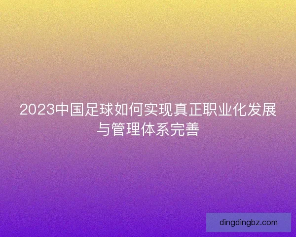 2023中国足球如何实现真正职业化发展与管理体系完善
