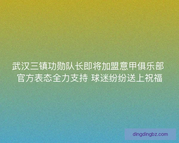 武汉三镇功勋队长即将加盟意甲俱乐部 官方表态全力支持 球迷纷纷送上祝福